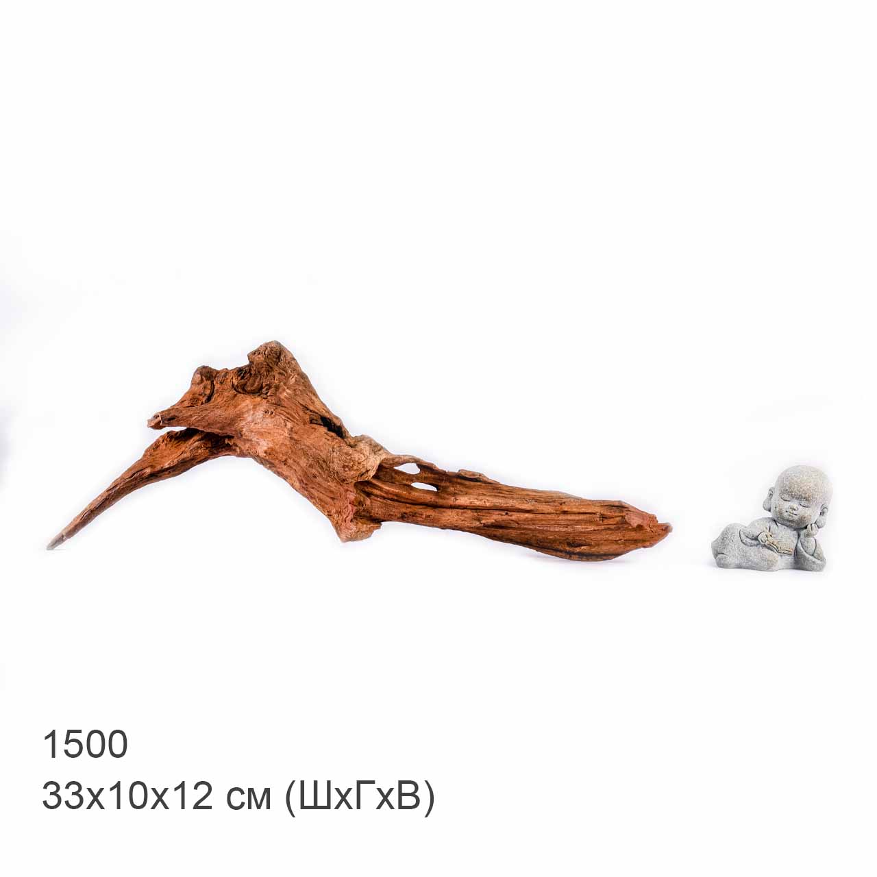 Коряга MASHA BLOOM "Железное дерево" затонувшая мангровая S - 1500