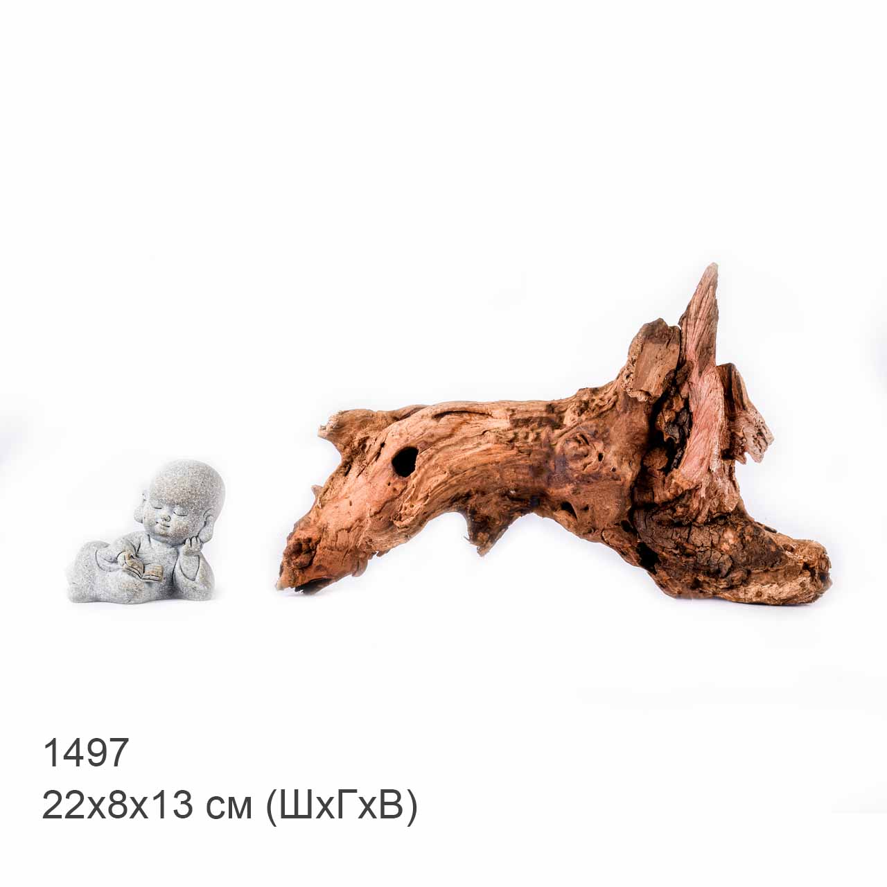 Коряга MASHA BLOOM "Железное дерево" затонувшая мангровая S - 1497