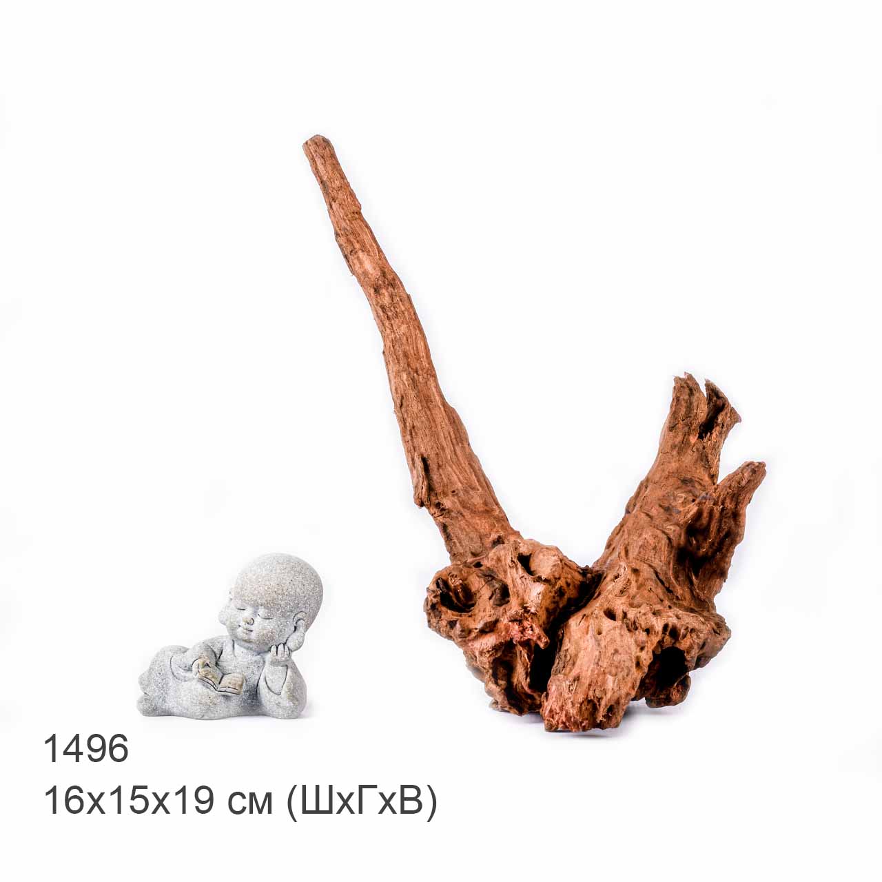 Коряга MASHA BLOOM "Железное дерево" затонувшая мангровая S - 1496