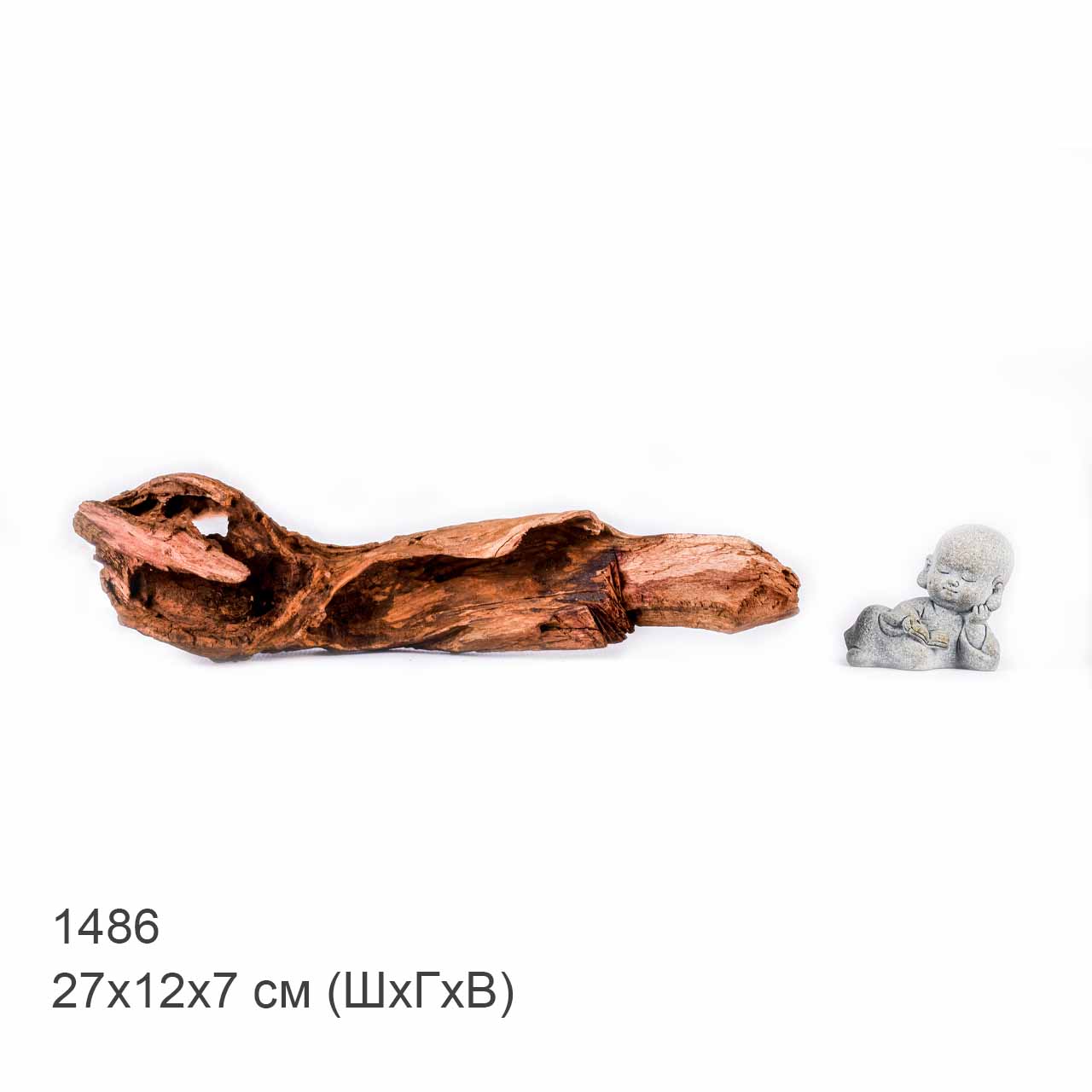 Коряга MASHA BLOOM "Железное дерево" затонувшая мангровая S - 1486