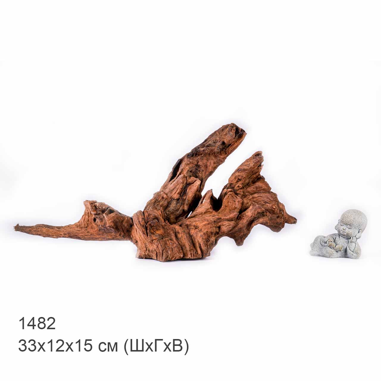 Коряга MASHA BLOOM "Железное дерево" затонувшая мангровая S - 1482