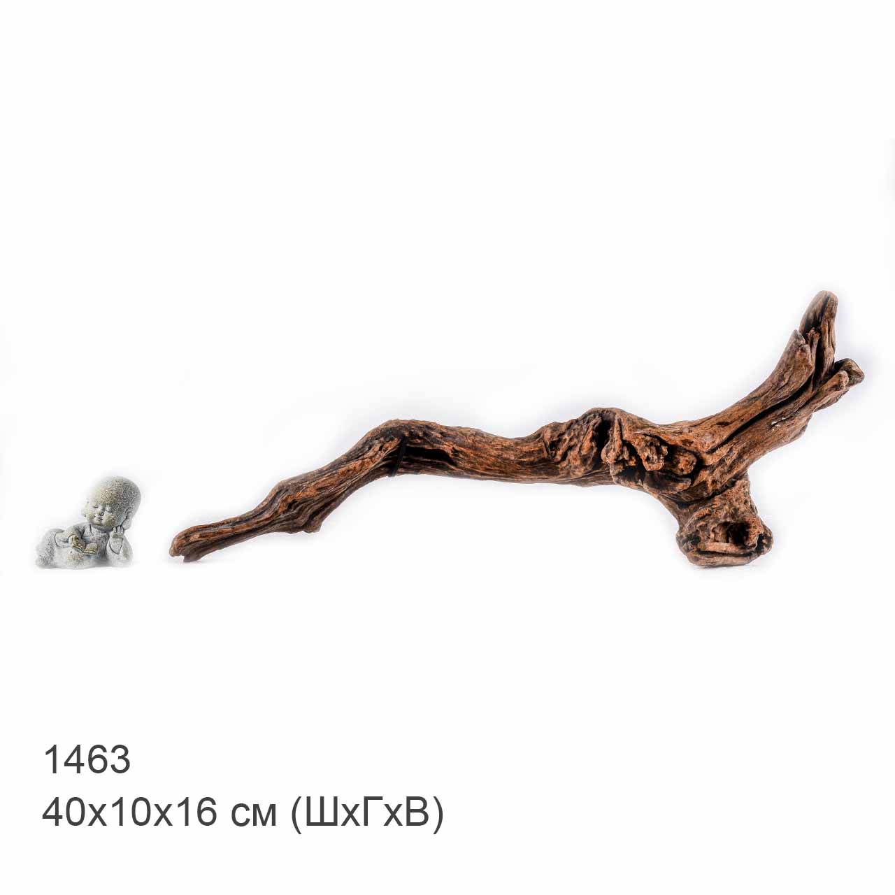 Коряга MASHA BLOOM "Железное дерево" затонувшая мангровая S - 1463