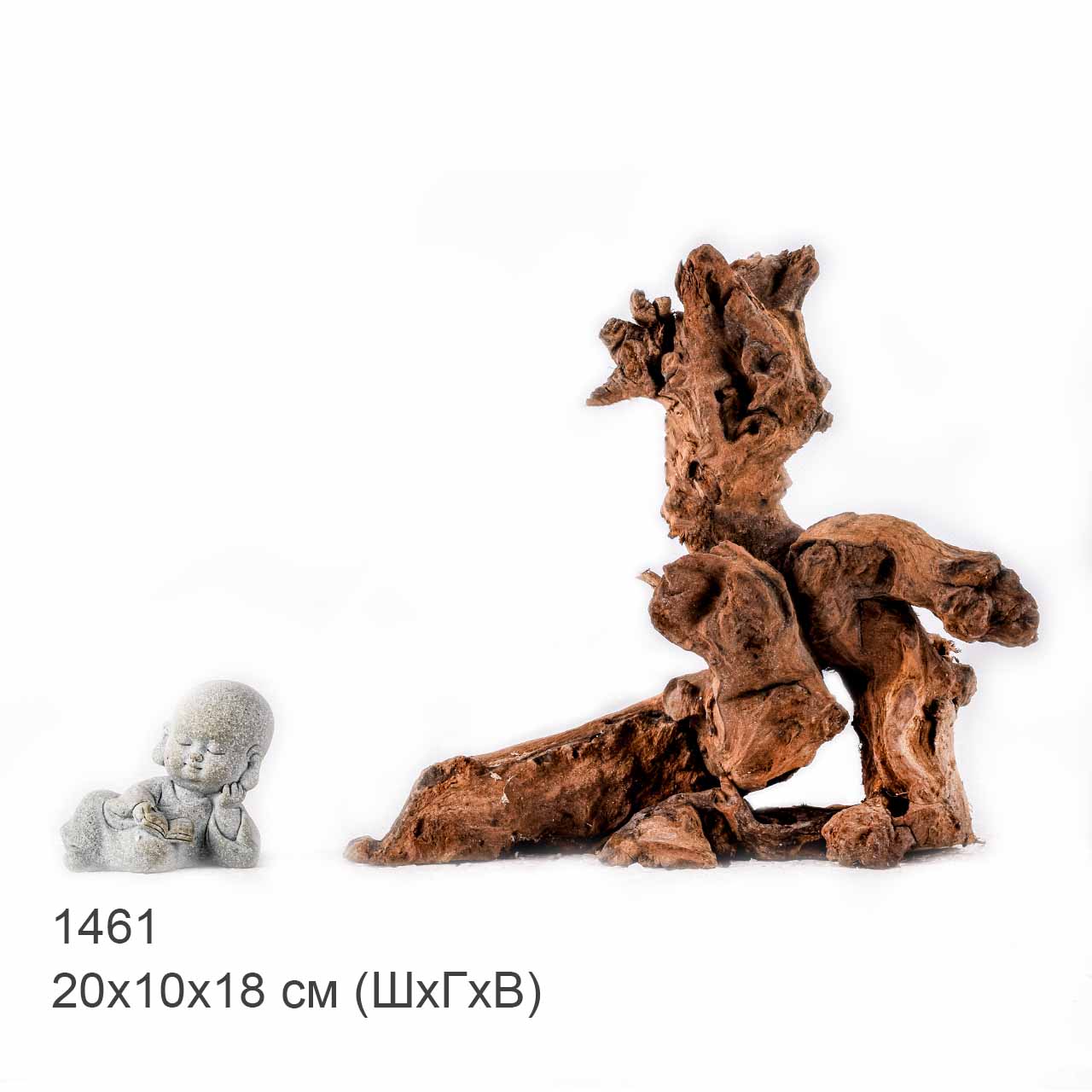 Коряга MASHA BLOOM "Железное дерево" затонувшая мангровая S - 1461