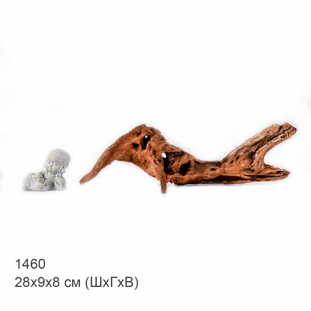 Коряга MASHA BLOOM "Железное дерево" затонувшая мангровая S - 1460
