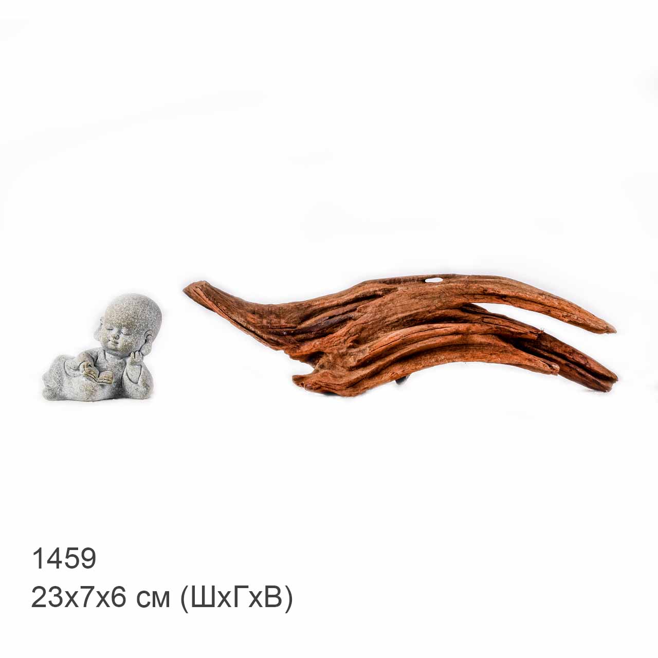 Коряга MASHA BLOOM "Железное дерево" затонувшая мангровая S - 1459