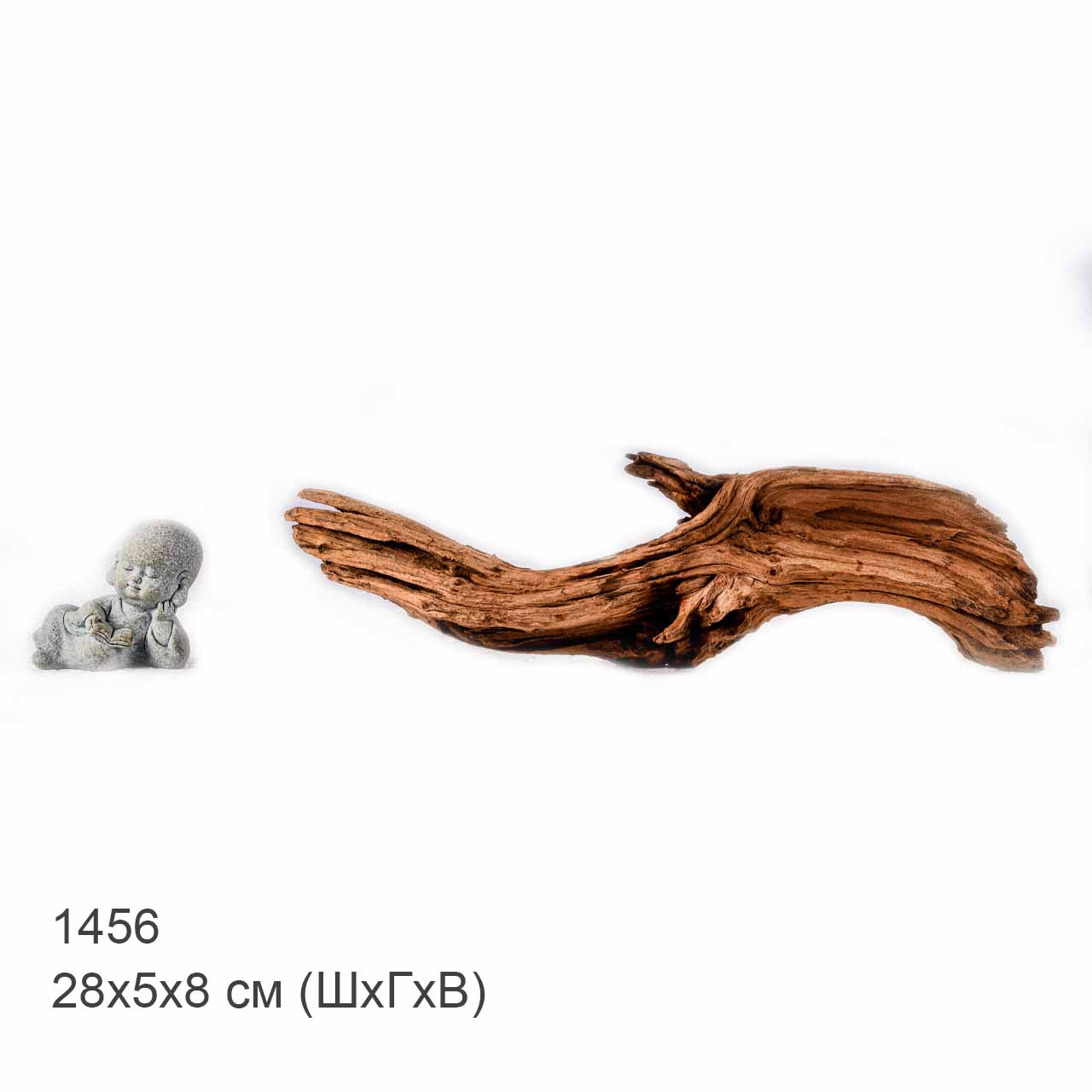 Коряга MASHA BLOOM "Железное дерево" затонувшая мангровая S - 1456