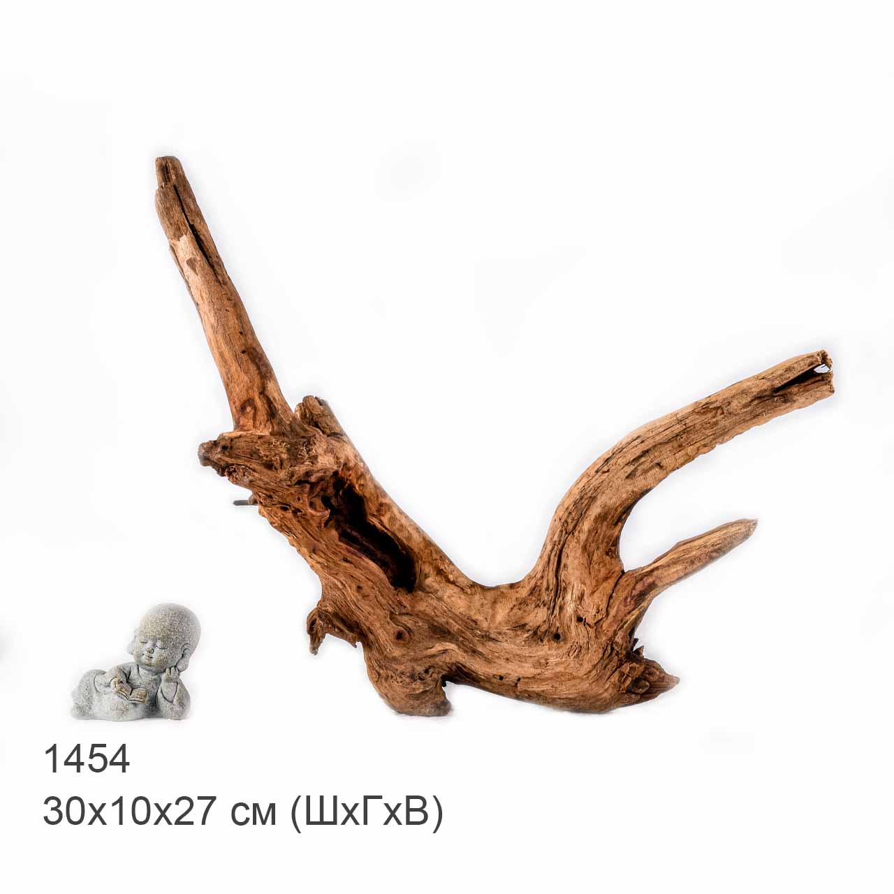 Коряга MASHA BLOOM "Железное дерево" затонувшая мангровая S - 1454