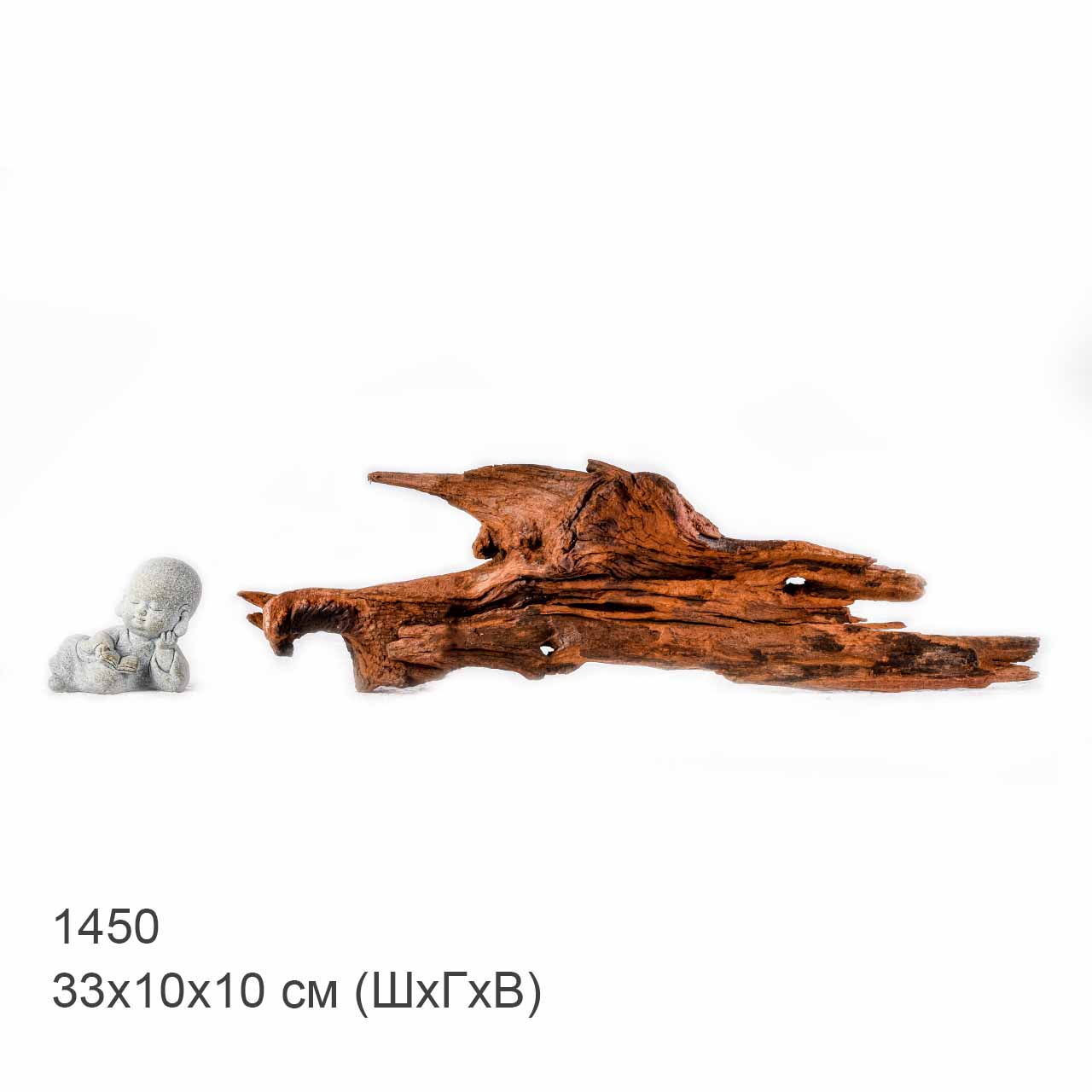 Коряга MASHA BLOOM "Железное дерево" затонувшая мангровая S - 1450