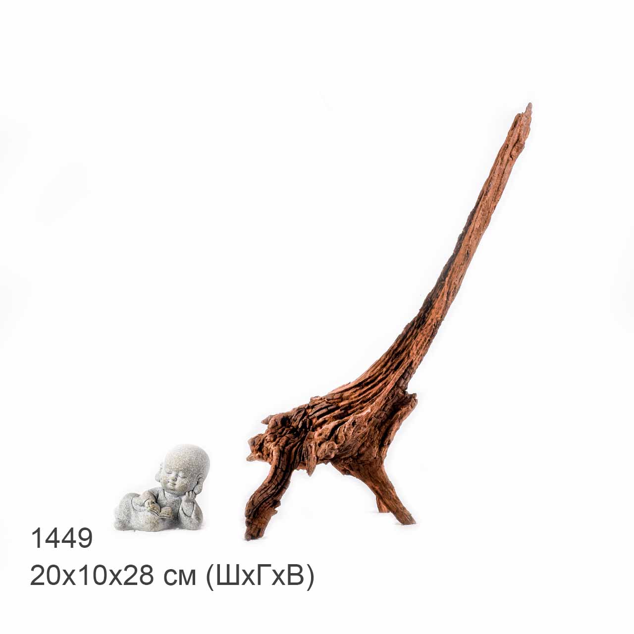 Коряга MASHA BLOOM "Железное дерево" затонувшая мангровая S - 1449