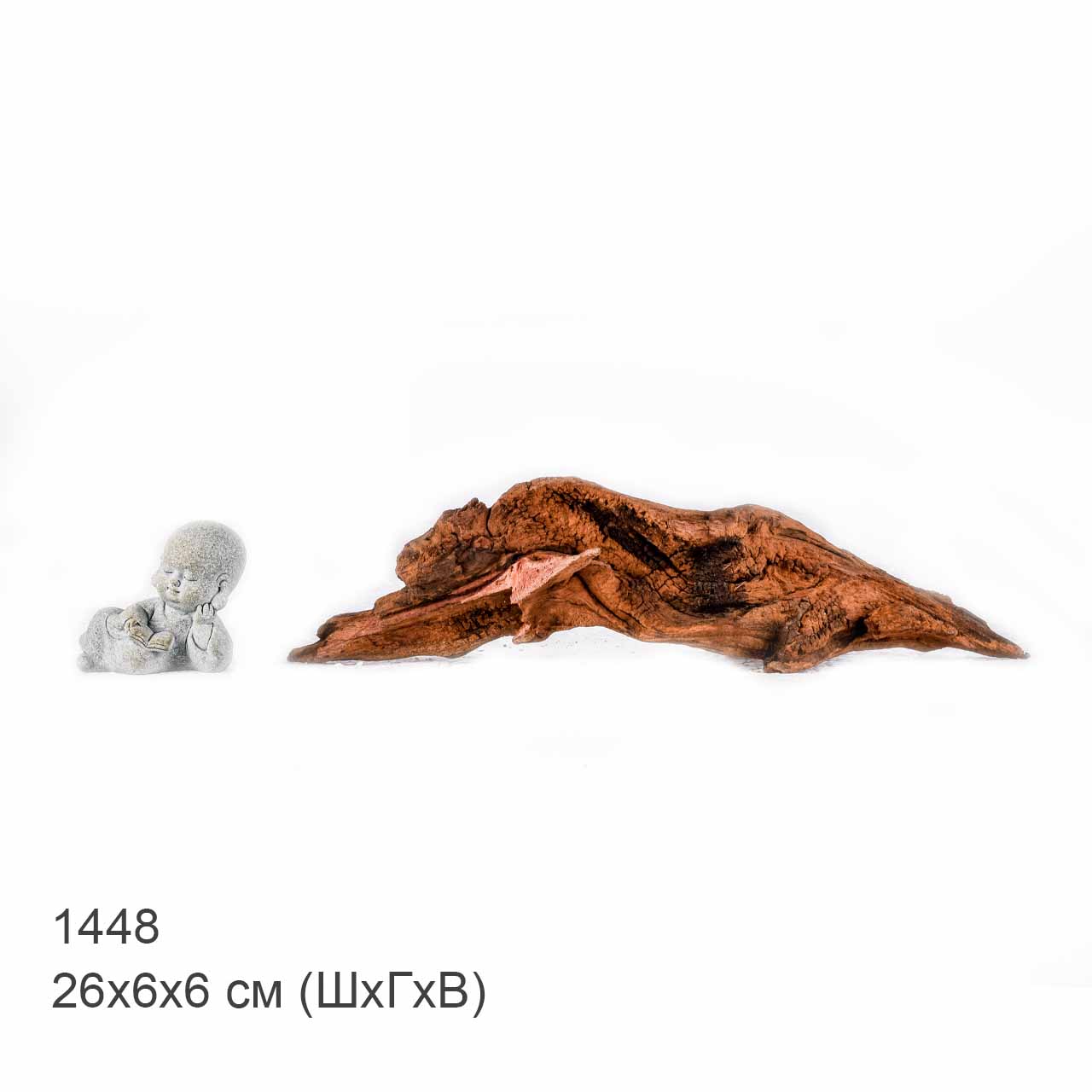 Коряга MASHA BLOOM "Железное дерево" затонувшая мангровая S - 1448