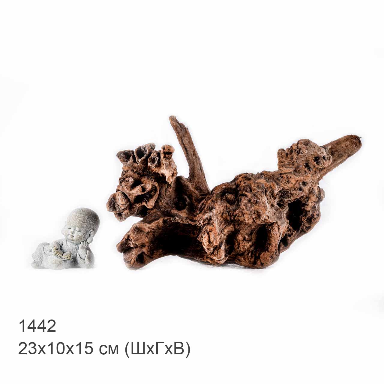 Коряга MASHA BLOOM "Железное дерево" затонувшая мангровая S - 1442