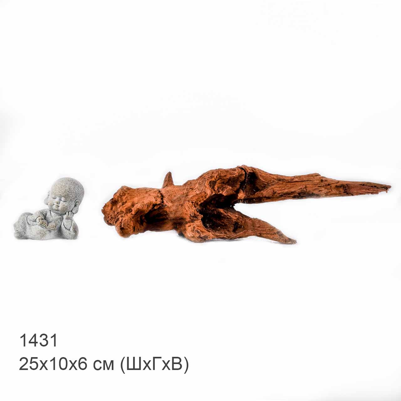 Коряга MASHA BLOOM "Железное дерево" затонувшая мангровая S - 1431