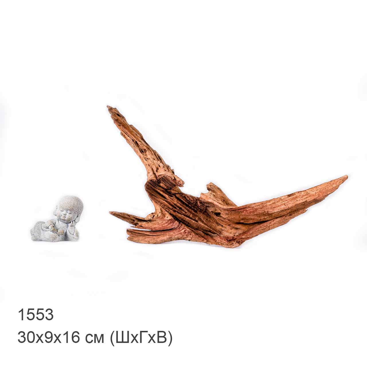 Коряга MASHA BLOOM "Железное дерево" затонувшая мангровая S - 1553