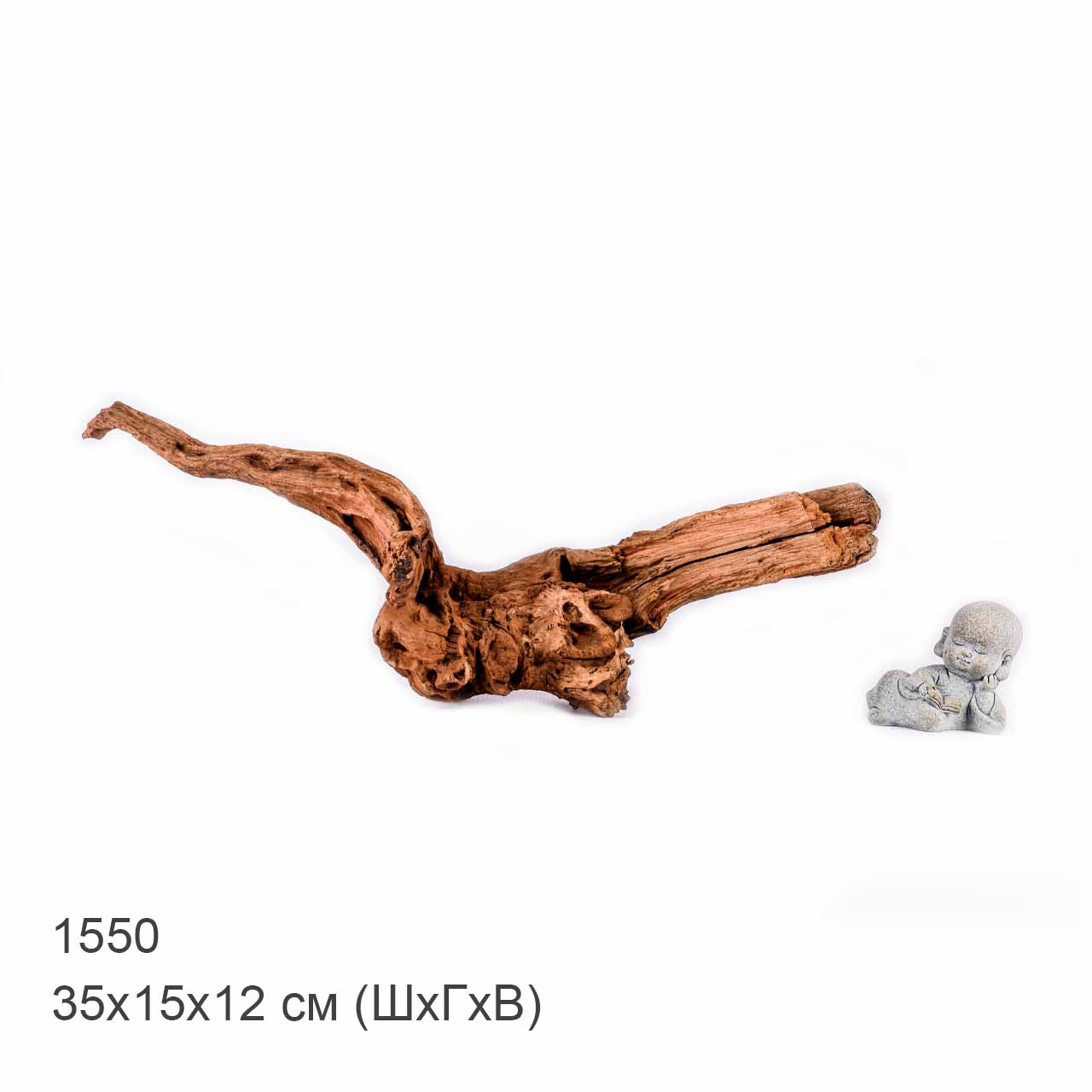 Коряга MASHA BLOOM "Железное дерево" затонувшая мангровая S - 1550