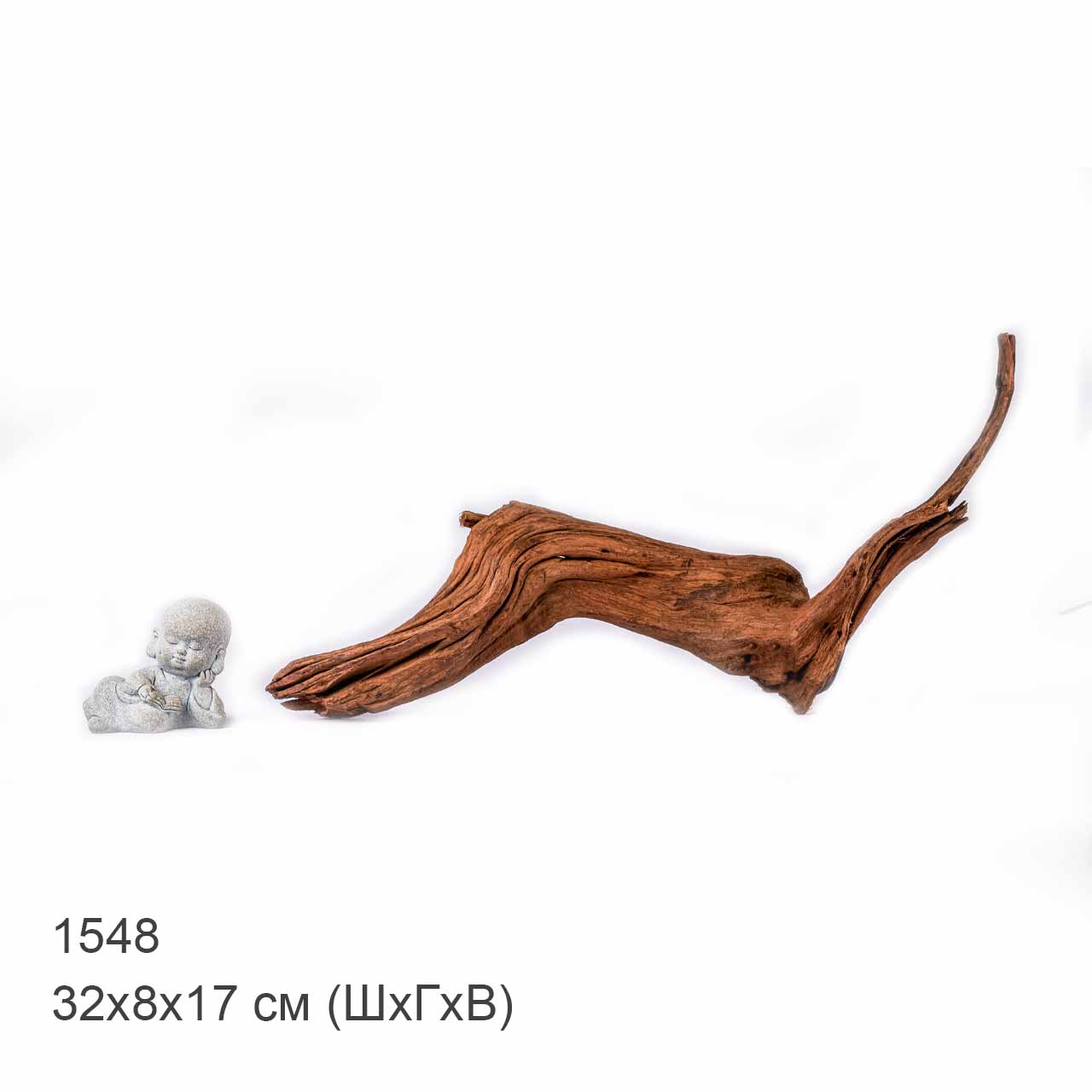 Коряга MASHA BLOOM "Железное дерево" затонувшая мангровая S - 1548