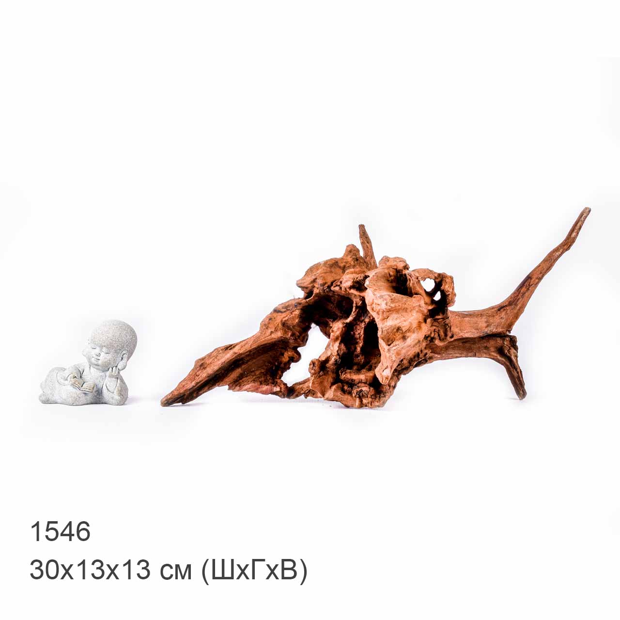 Коряга MASHA BLOOM "Железное дерево" затонувшая мангровая S - 1546