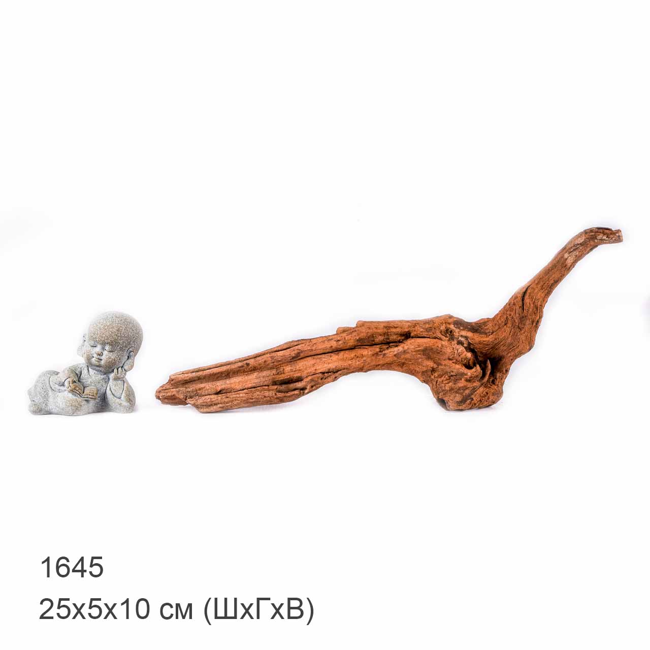 Коряга MASHA BLOOM "Железное дерево" затонувшая мангровая XS - 1645