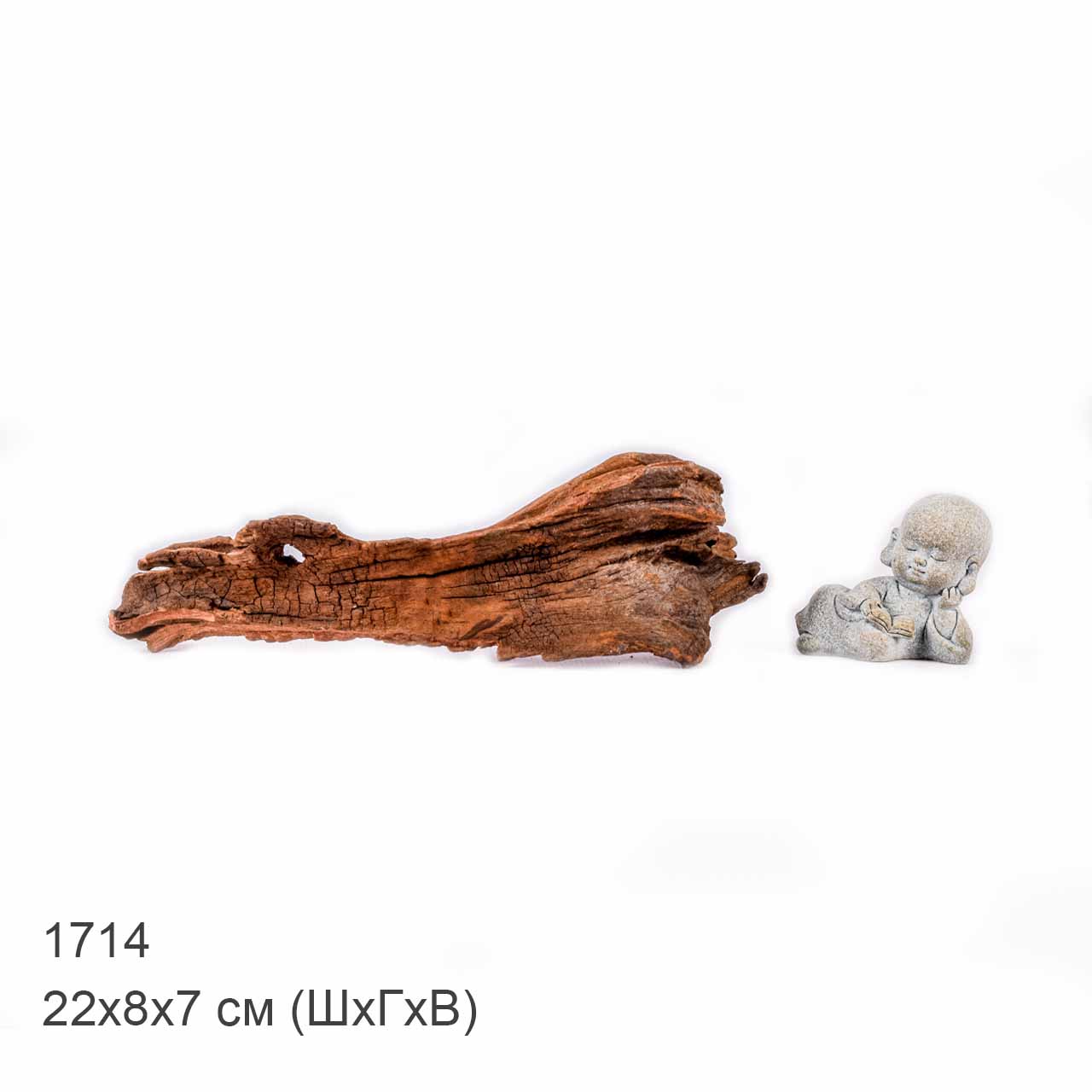 Коряга MASHA BLOOM "Железное дерево" затонувшая мангровая XS - 1714