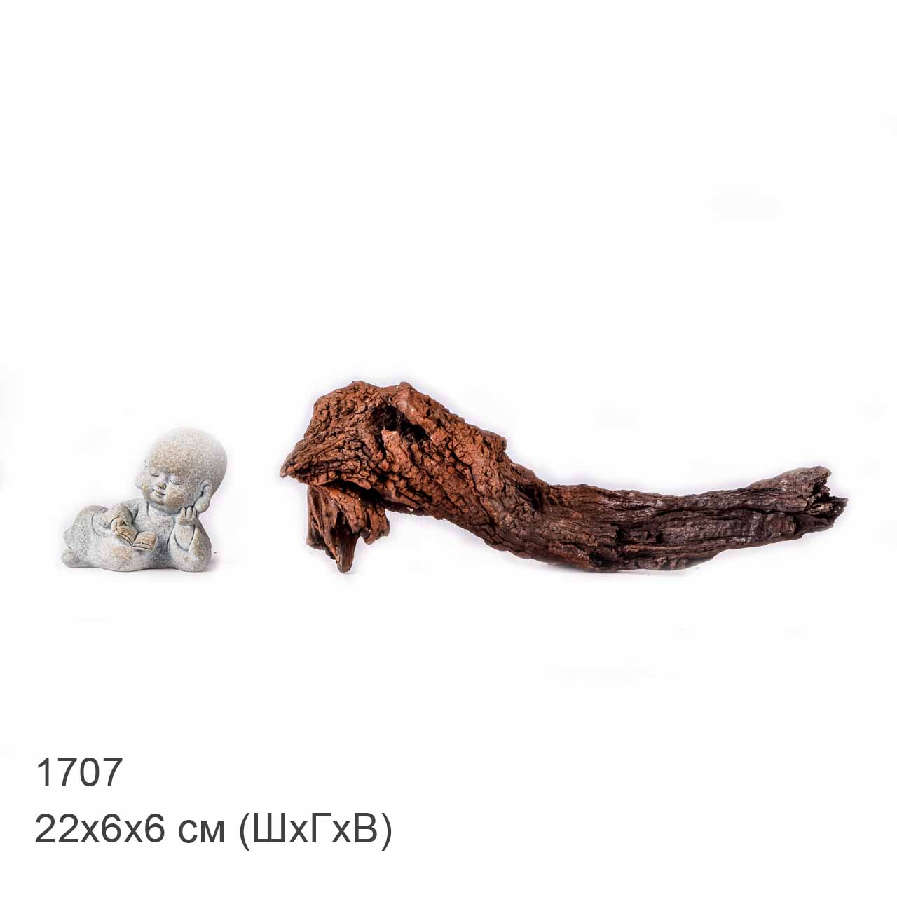 Коряга MASHA BLOOM "Железное дерево" затонувшая мангровая XS - 1707