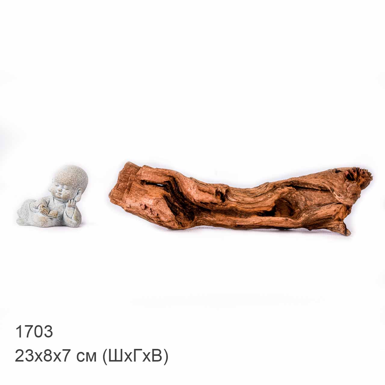 Коряга MASHA BLOOM "Железное дерево" затонувшая мангровая XS - 1703