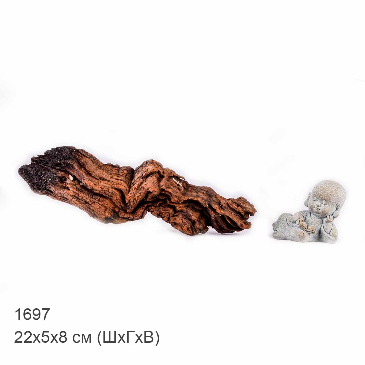 Коряга MASHA BLOOM "Железное дерево" затонувшая мангровая XS - 1697