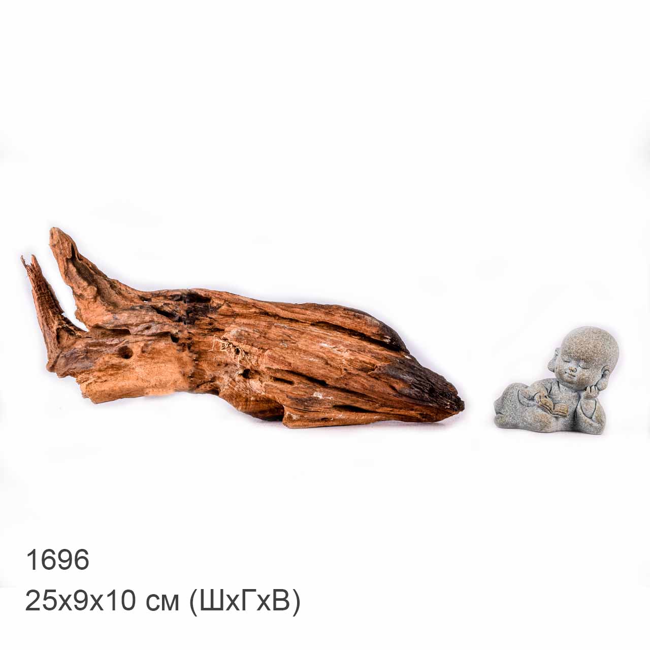 Коряга MASHA BLOOM "Железное дерево" затонувшая мангровая XS - 1696