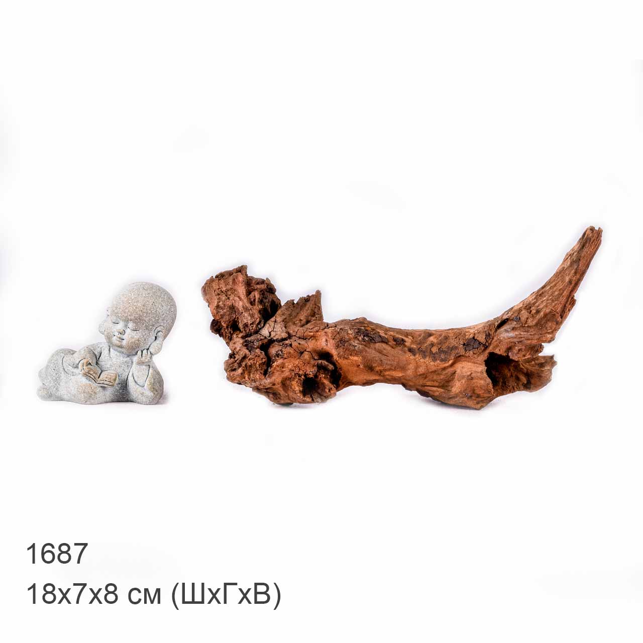 Коряга MASHA BLOOM "Железное дерево" затонувшая мангровая XS - 1687