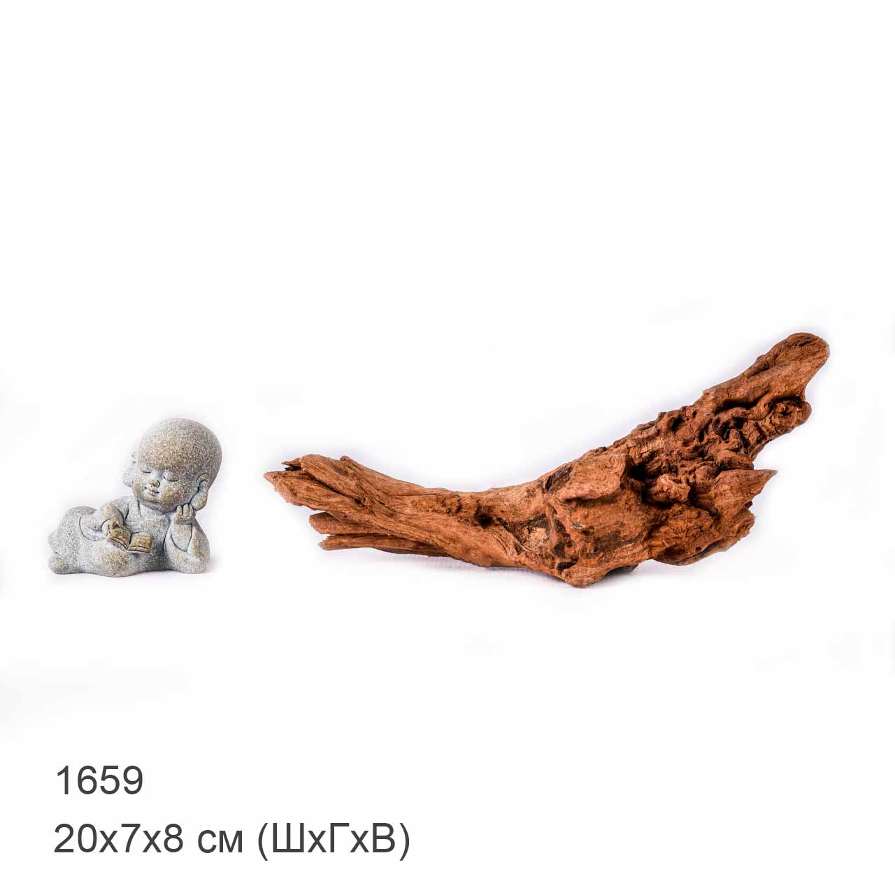 Коряга MASHA BLOOM "Железное дерево" затонувшая мангровая XS - 1659