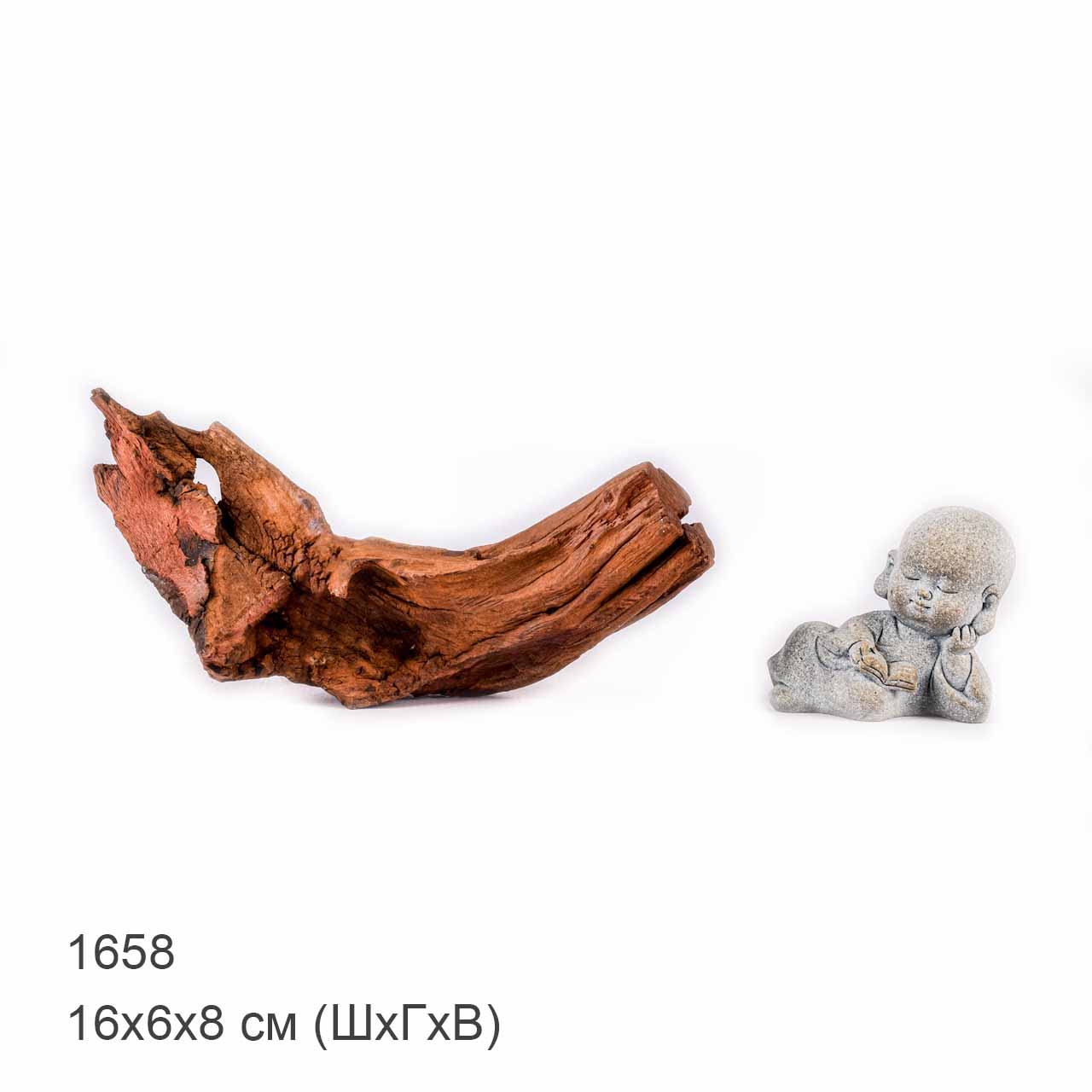 Коряга MASHA BLOOM "Железное дерево" затонувшая мангровая XS - 1658