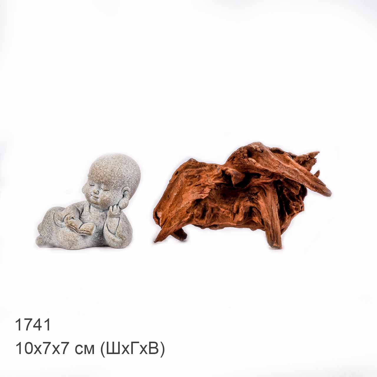 Коряга MASHA BLOOM "Железное дерево" затонувшая мангровая XXS - 1741