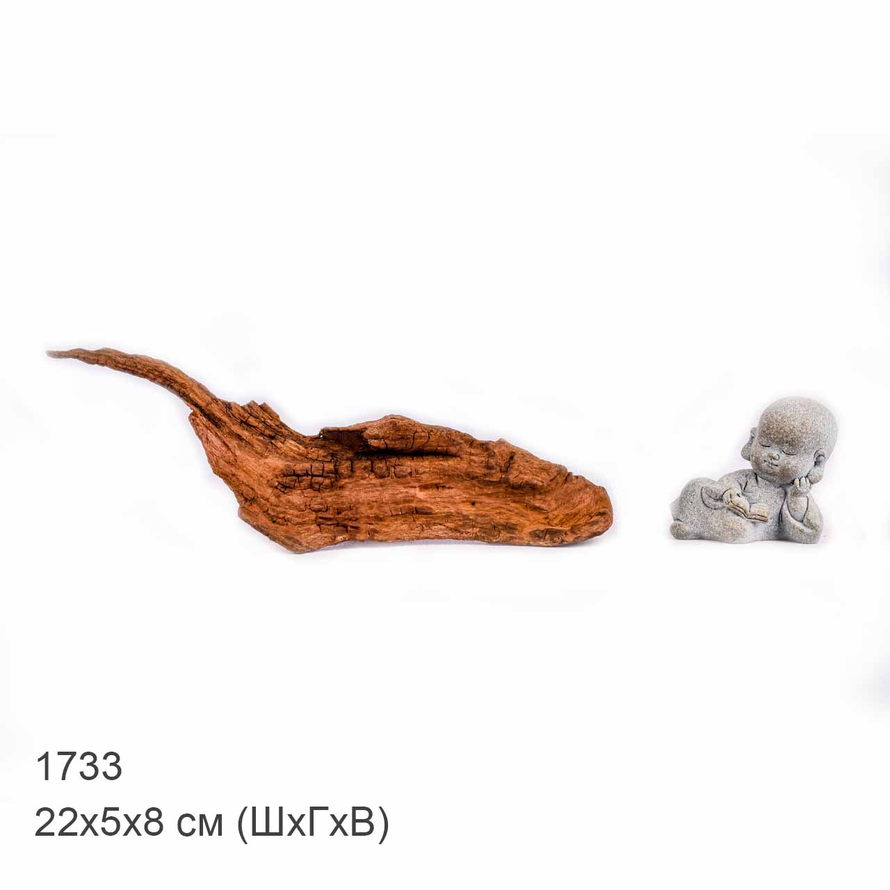 Коряга MASHA BLOOM "Железное дерево" затонувшая мангровая XXS - 1733