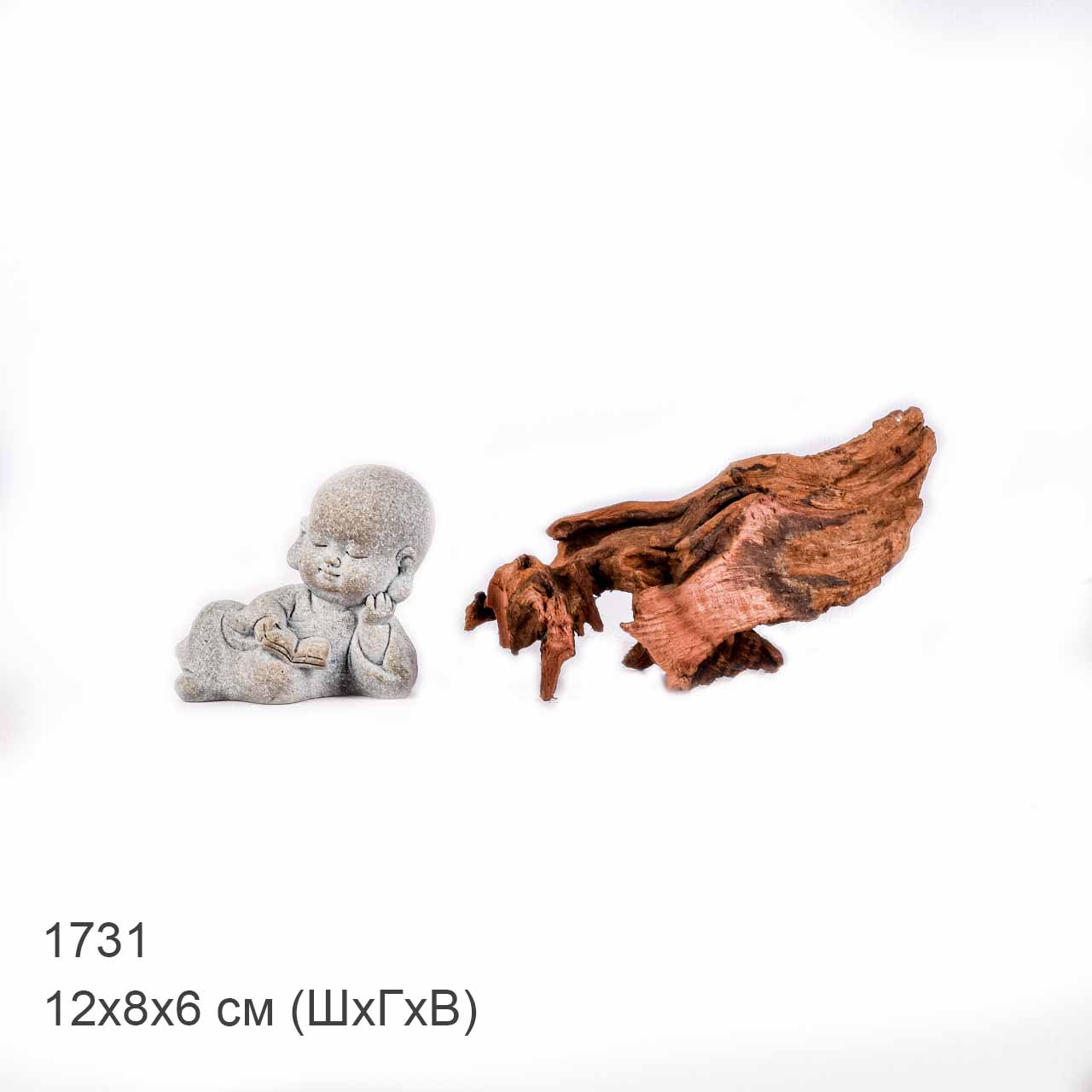 Коряга MASHA BLOOM "Железное дерево" затонувшая мангровая XXS - 1731