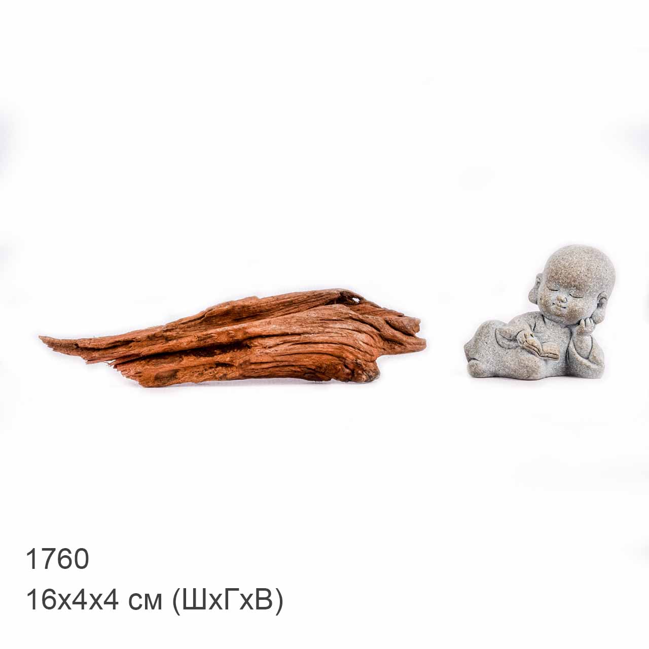 Коряга MASHA BLOOM "Железное дерево" затонувшая мангровая XXXS - 1760