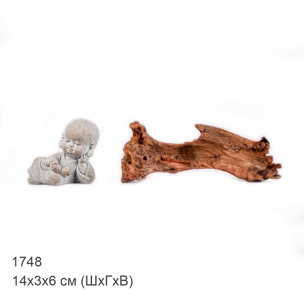 Коряга MASHA BLOOM "Железное дерево" затонувшая мангровая XXXS - 1748