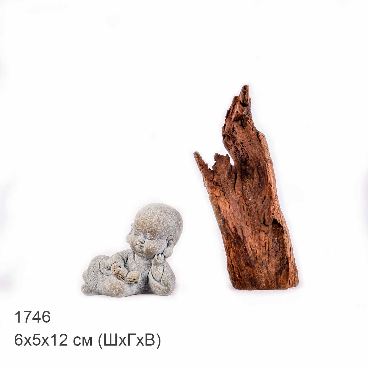 Коряга MASHA BLOOM "Железное дерево" затонувшая мангровая XXXS - 1746