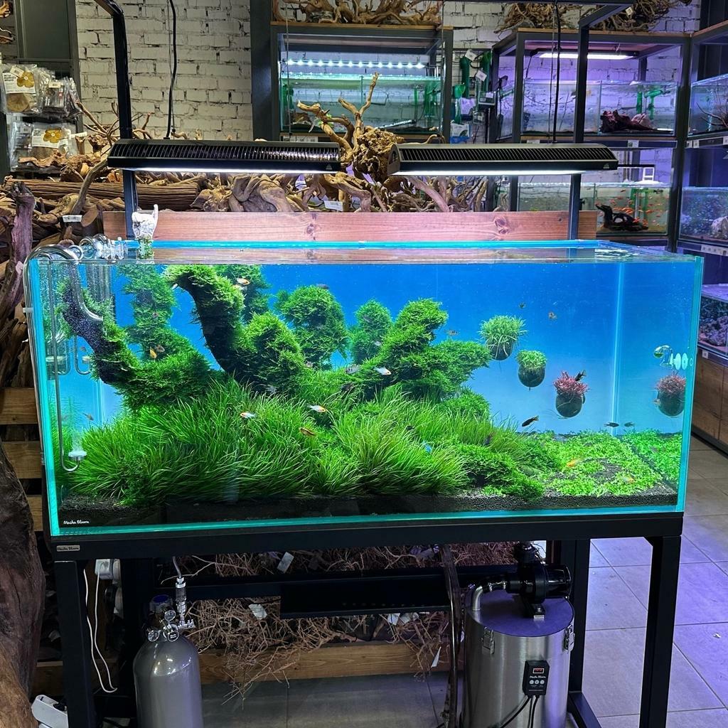 Фон MASHA BLOOM Северное сияние с подсветкой RGB 45х45 см