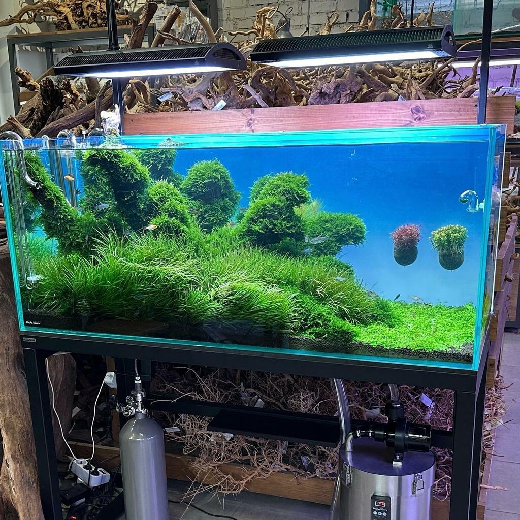 Фон MASHA BLOOM Северное сияние с подсветкой RGB 60х36 см