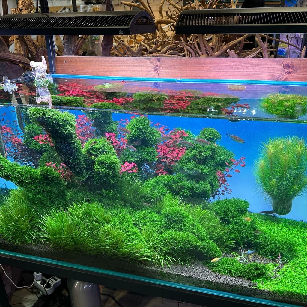 Фон MASHA BLOOM Северное сияние с подсветкой RGB 60х45 см