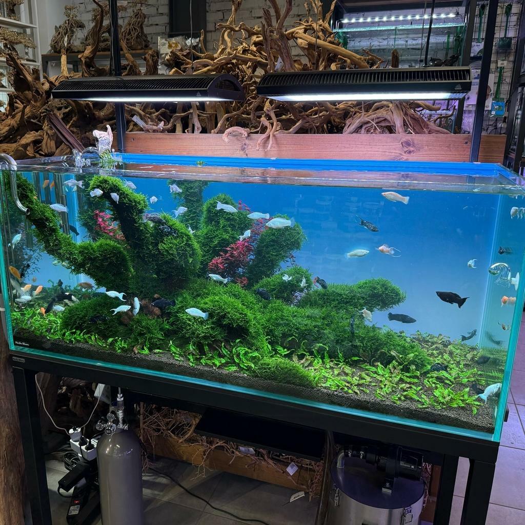 Фон MASHA BLOOM Северное сияние с подсветкой RGB 90х60 см