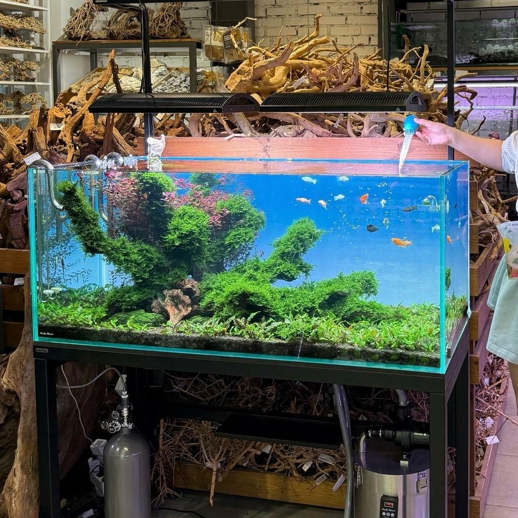 Фон MASHA BLOOM Северное сияние с подсветкой RGB 150х60 см