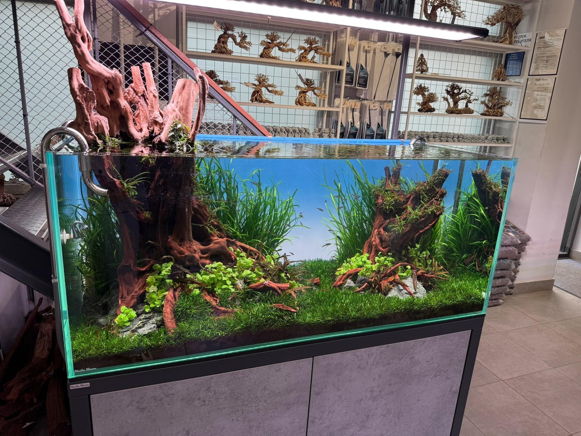 Фон MASHA BLOOM Северное сияние с подсветкой RGB 180х60 см