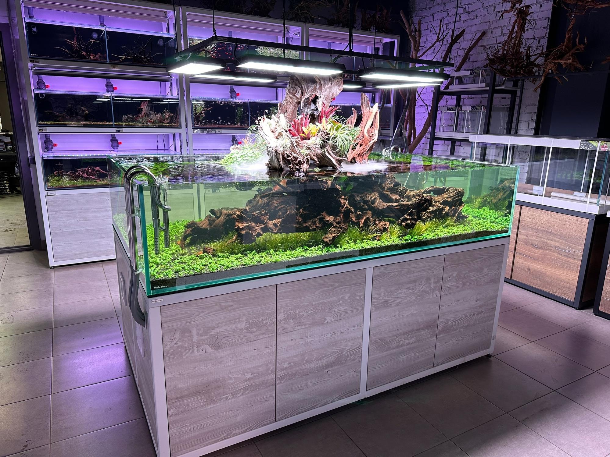 Сойл MASHA BLOOM Энергия корней