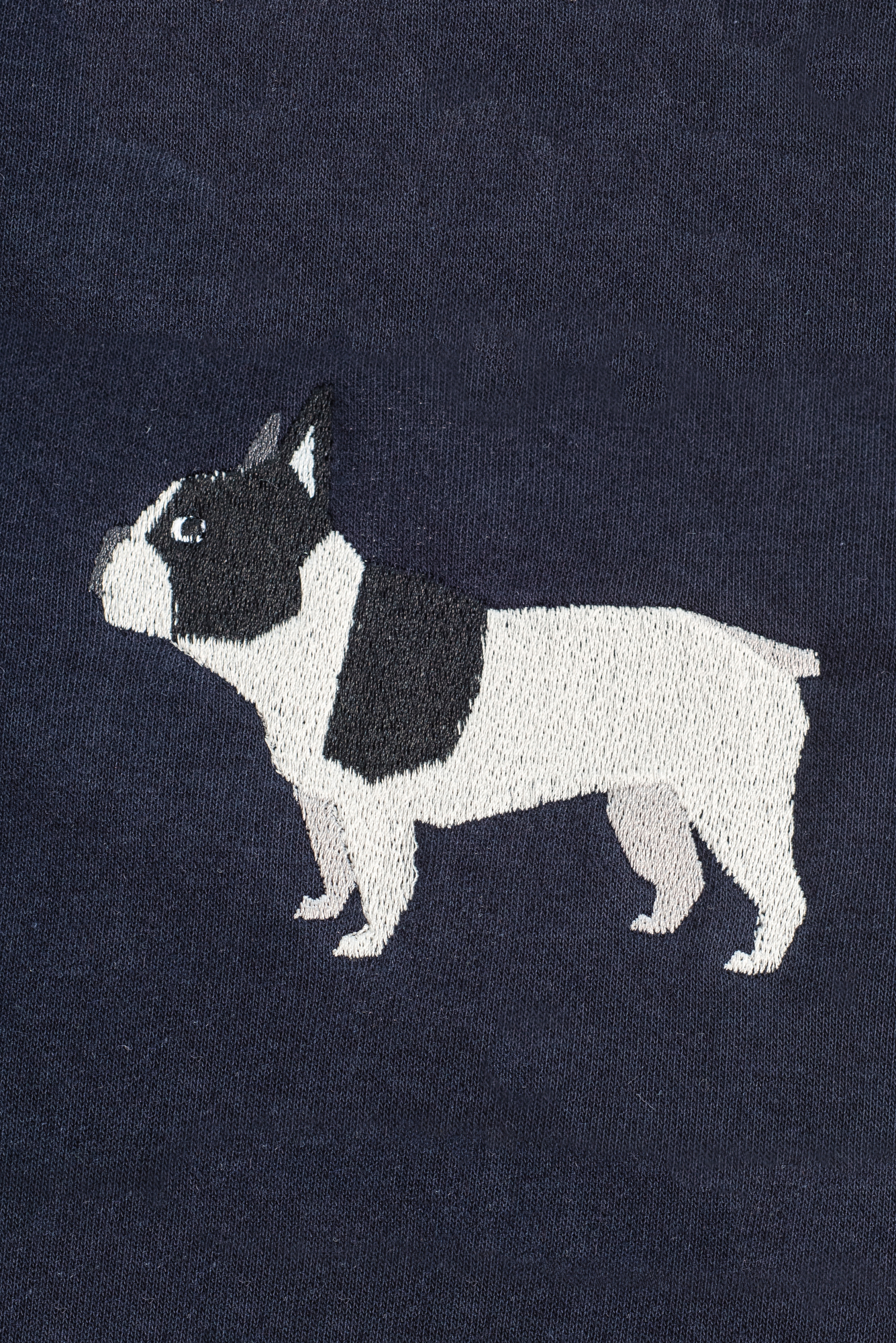 French bulldog sapphire hoodie