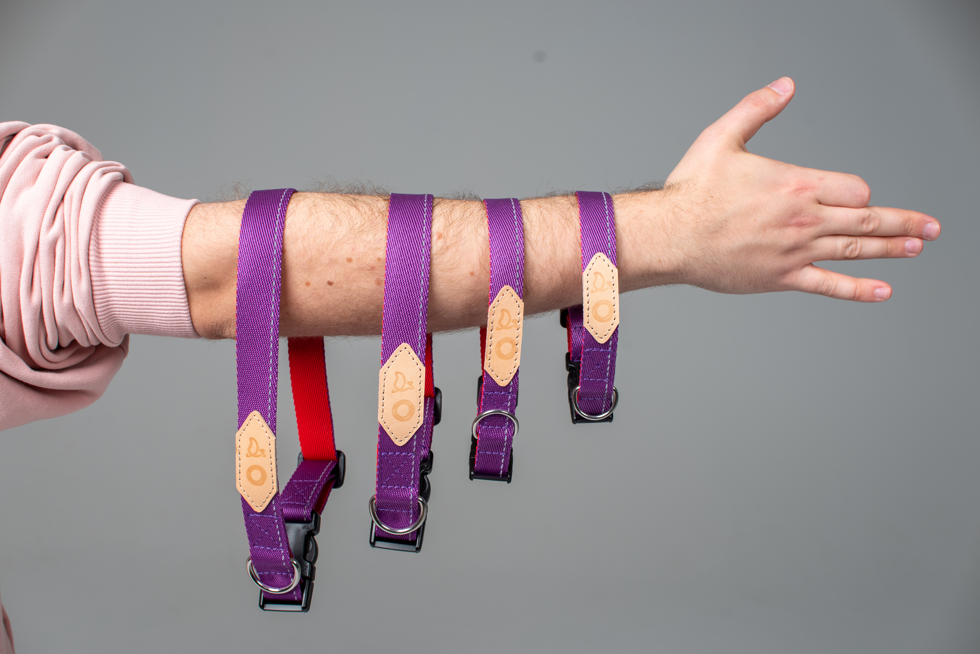 Ruby and purple strap collar