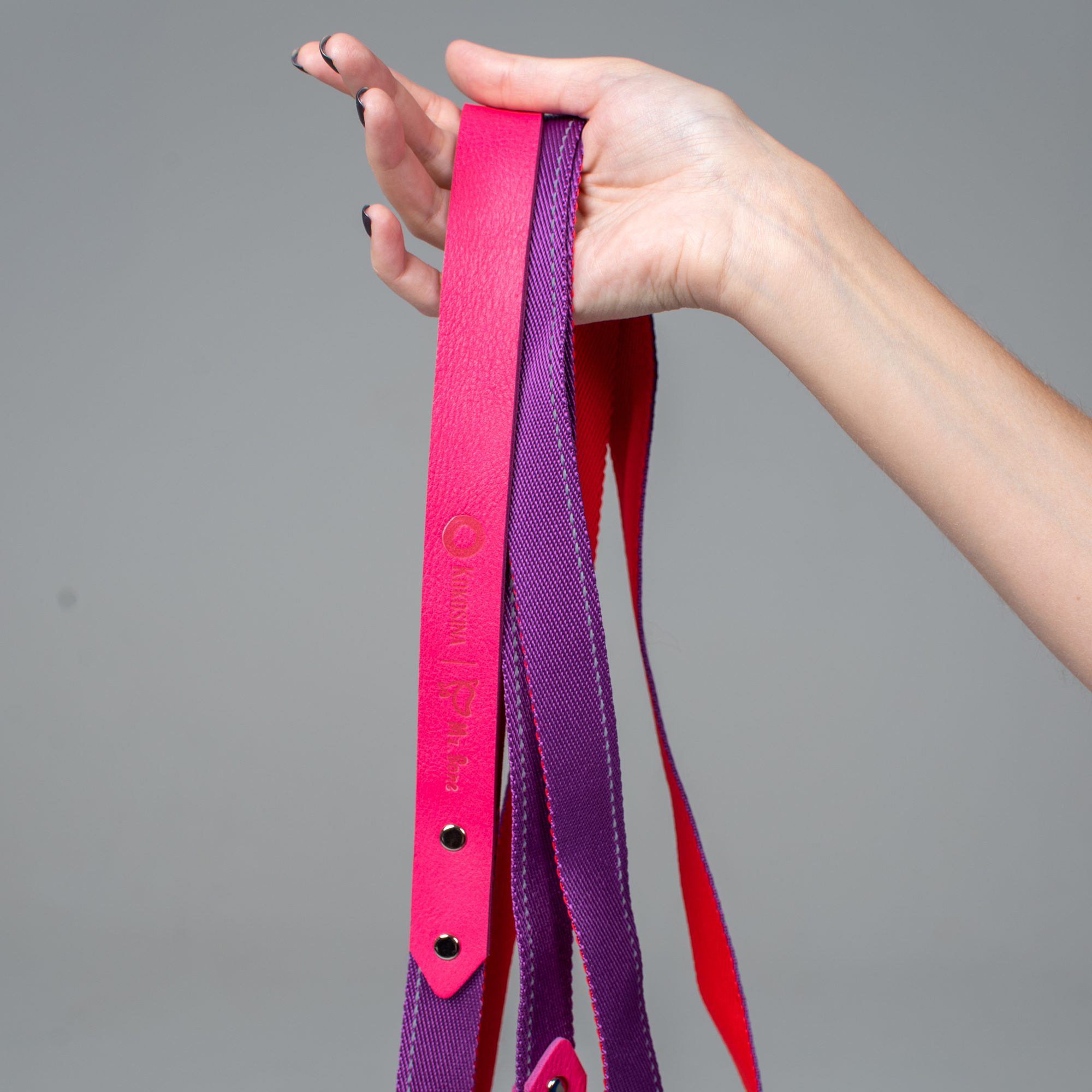 Ruby and purple strap leash with a leather handle