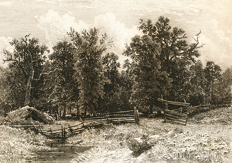 Лесная околица. Художественный оттиск с офорта И.И. Шишкина