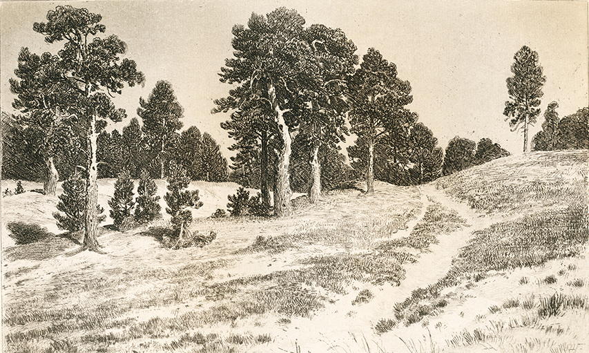 Пески. Художественный оттиск с офорта И.И. Шишкина