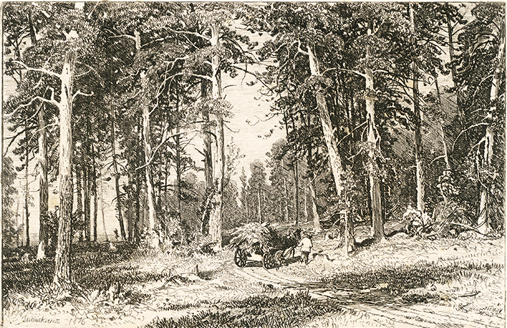 Окраина сосновой рощи. Художественный оттиск с офорта И.И. Шишкина