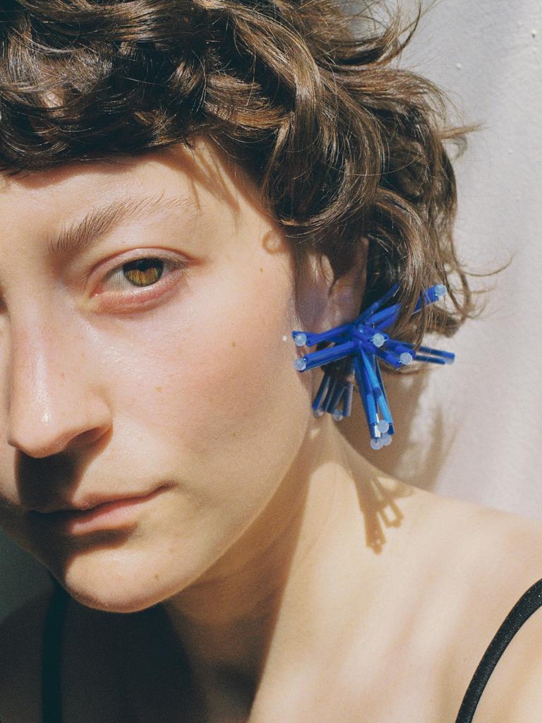 Астры синие