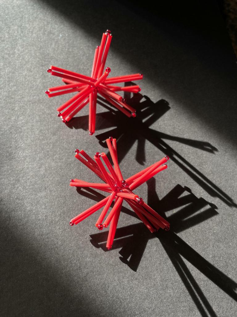 Астры красные